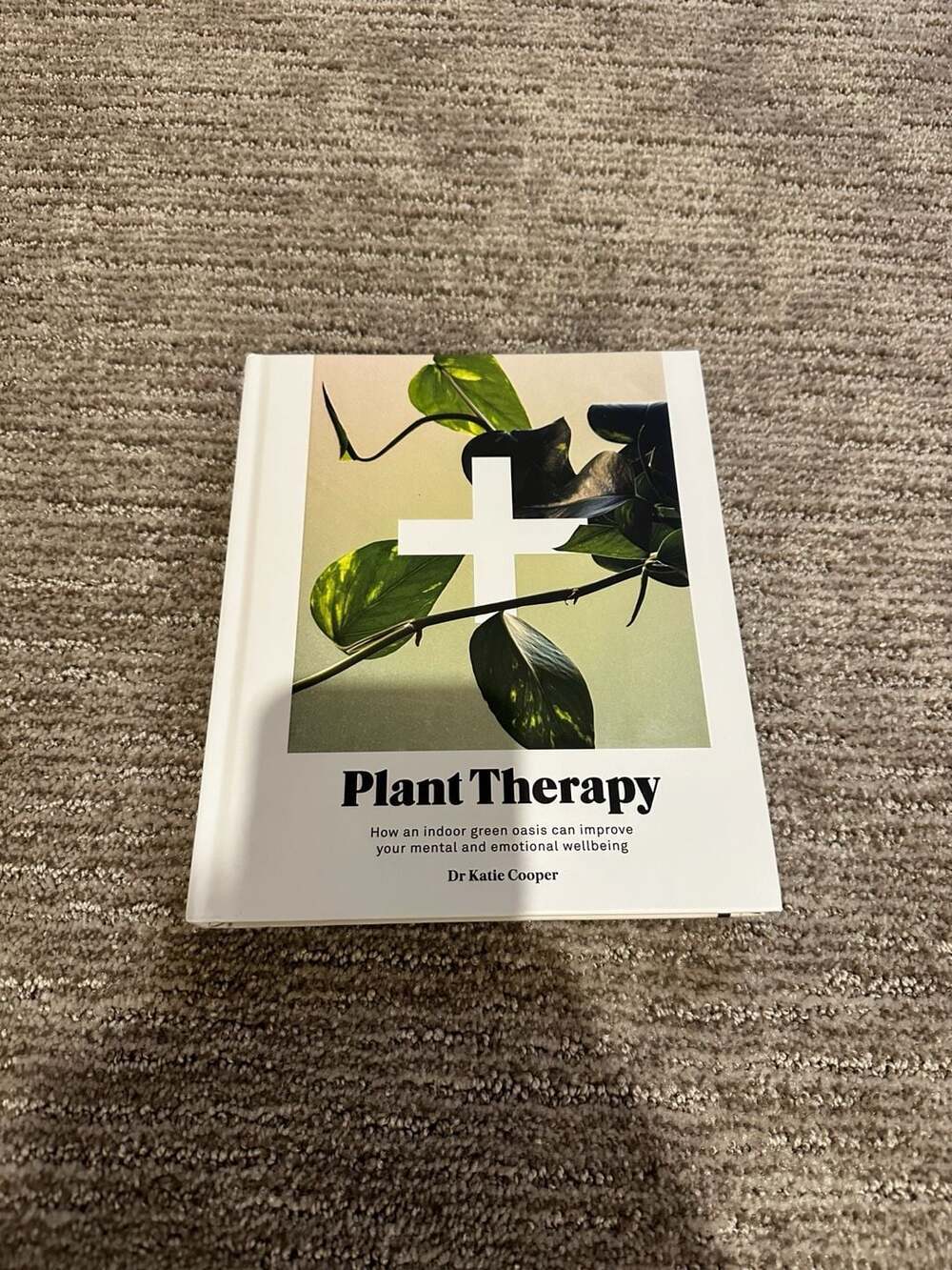 Plant Therapy: Why an Indoor Green Oasis Can Improve Your Mental and Emotional W